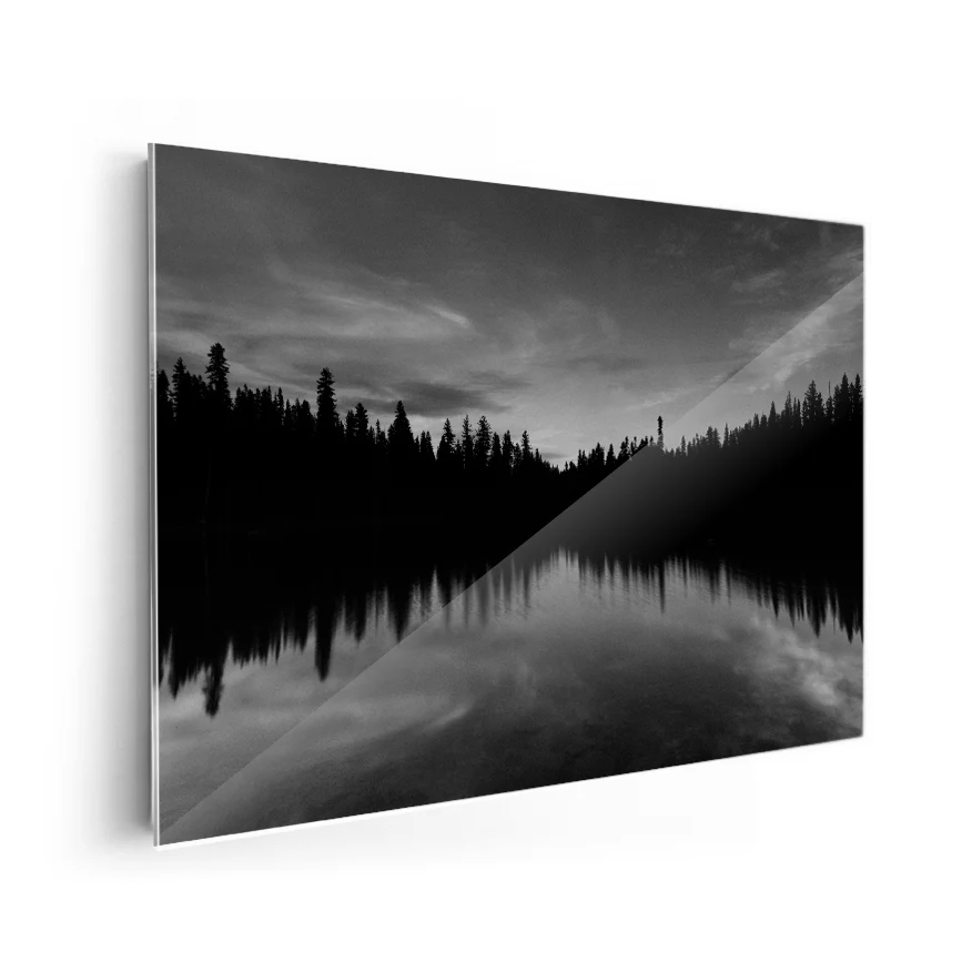 Bosque Nocturno Poster