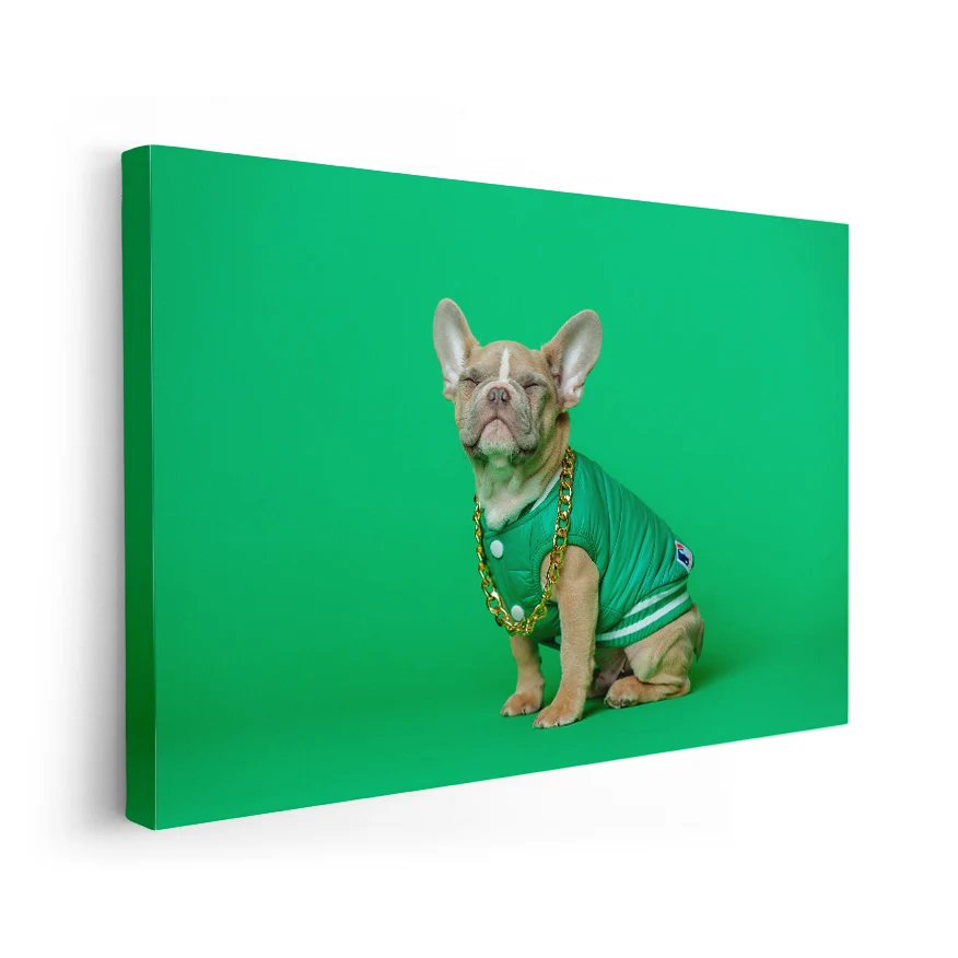Buldog Francés Poster