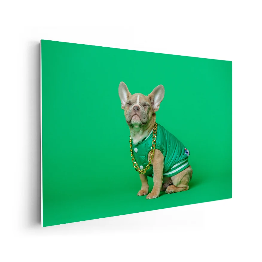 Buldog Francés Poster