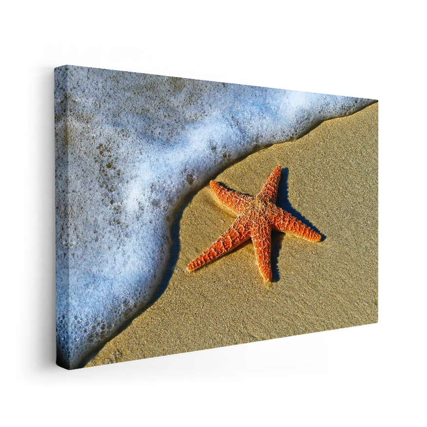 Estrella de Mar Poster