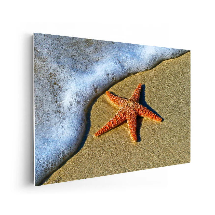 Estrella de Mar Poster
