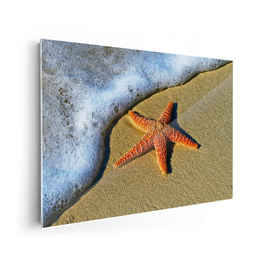 Estrella de Mar Poster