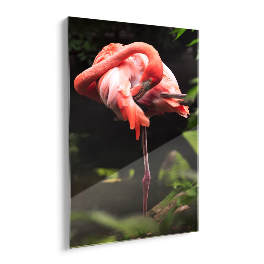Flamenco Rosa Poster