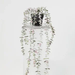 Planta Artificial Eucalyto 54cm Ninguno