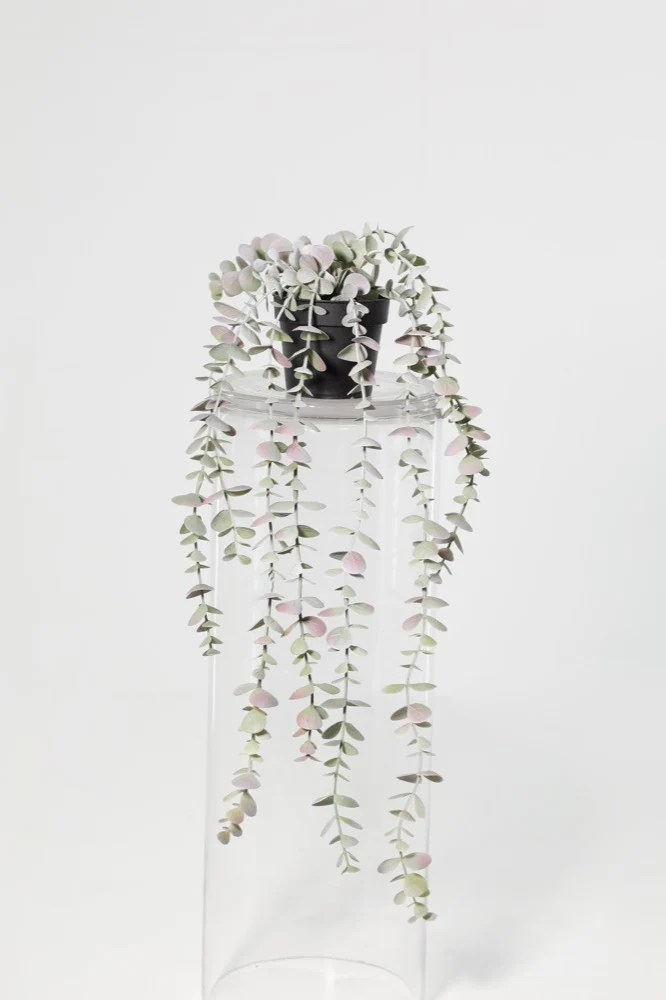 Planta Artificial Eucalyto 54cm Ninguno