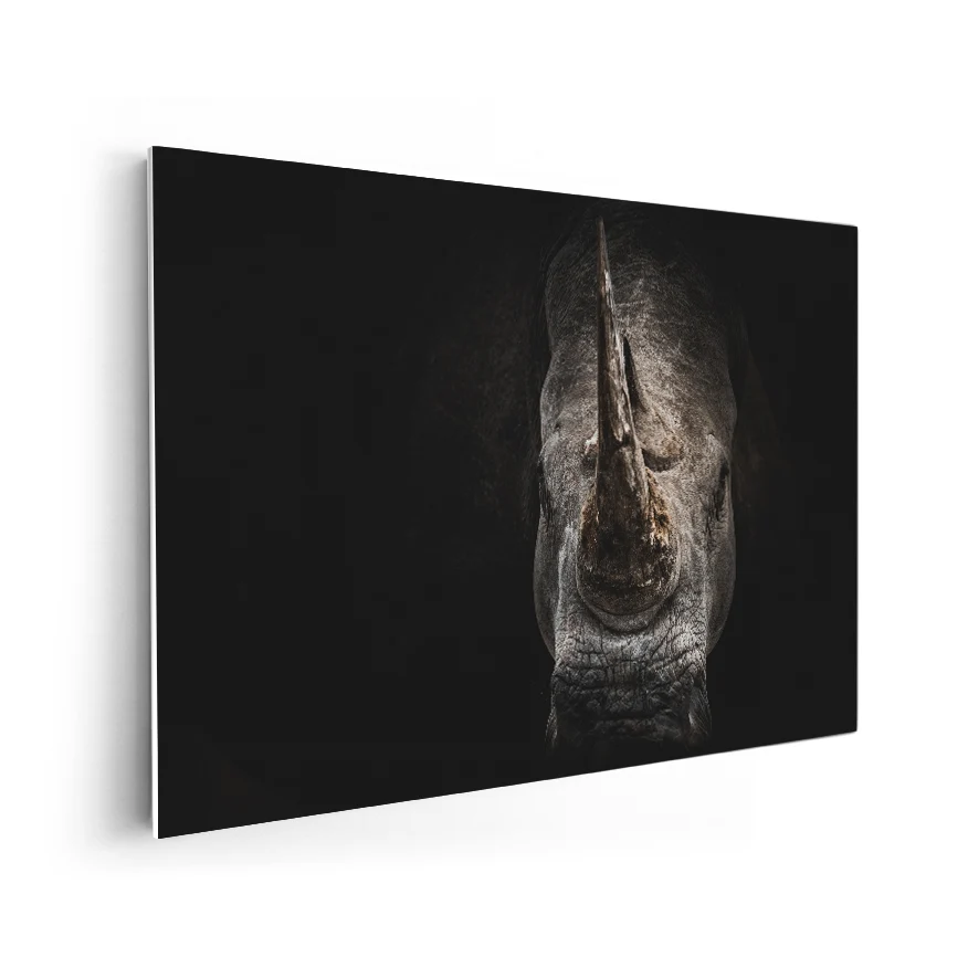 Rinoceronte Negro Poster