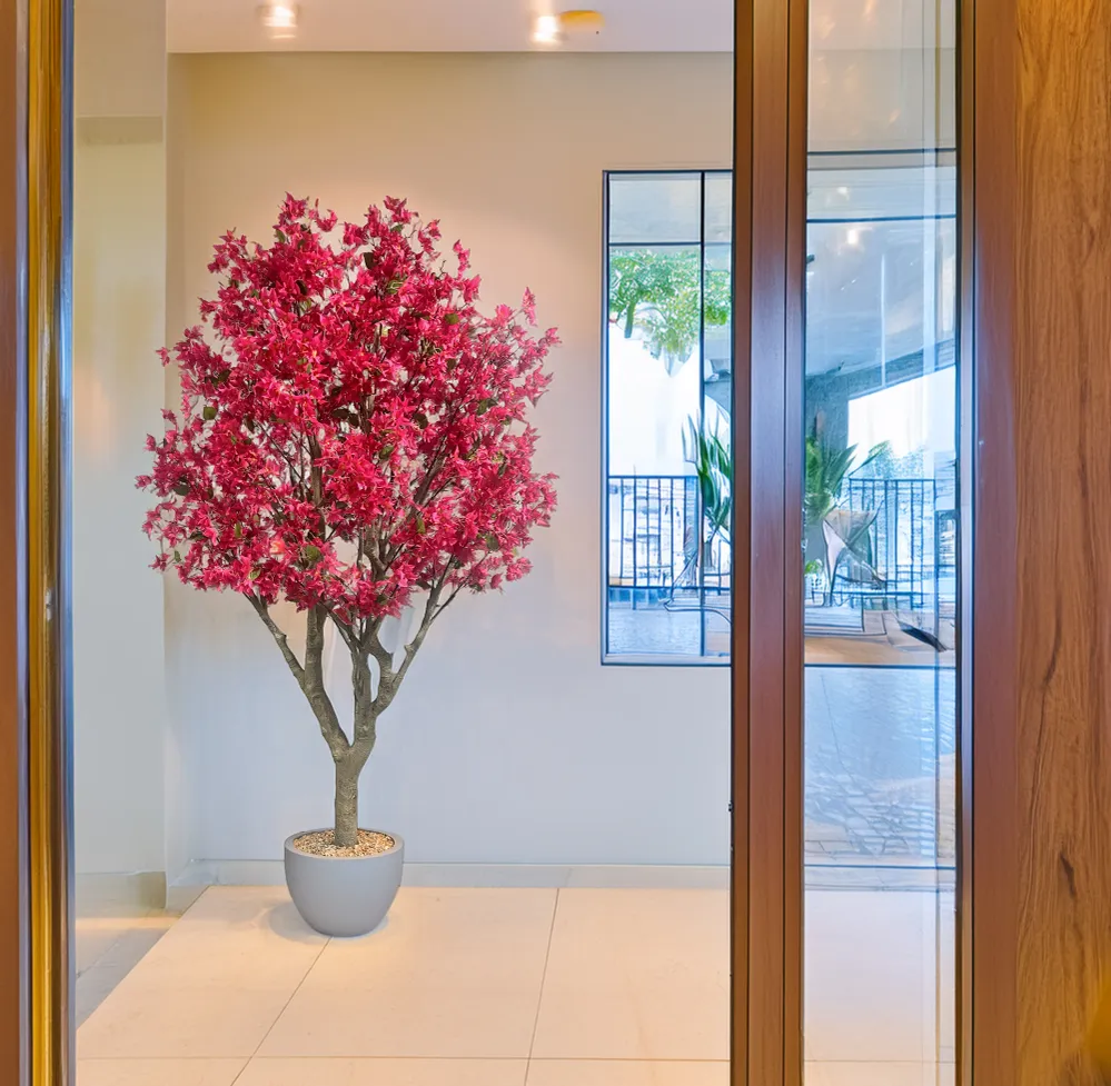 Árbol Bougainvillea – 250 cm Sinder