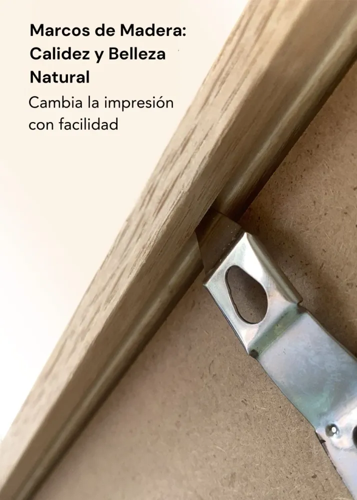 CALAVERA DE CIERVO studiomalek