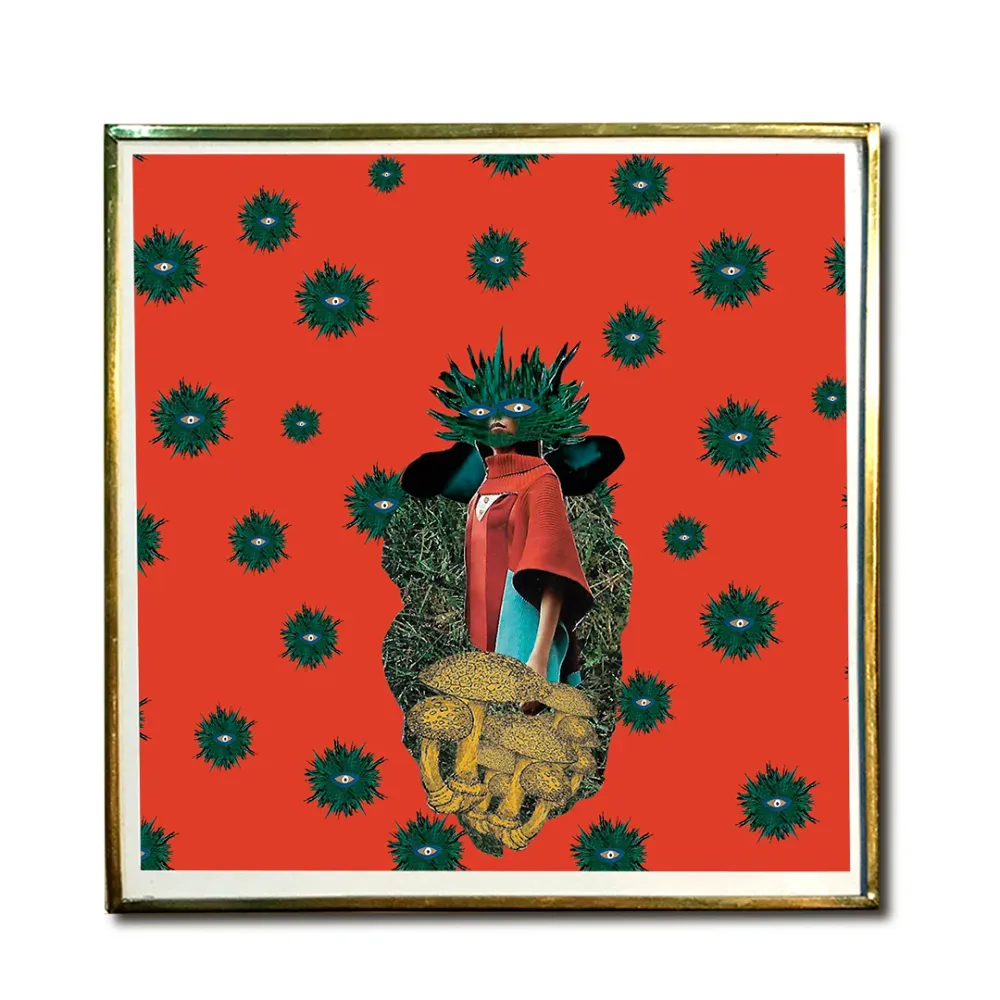 “Coral” Venus