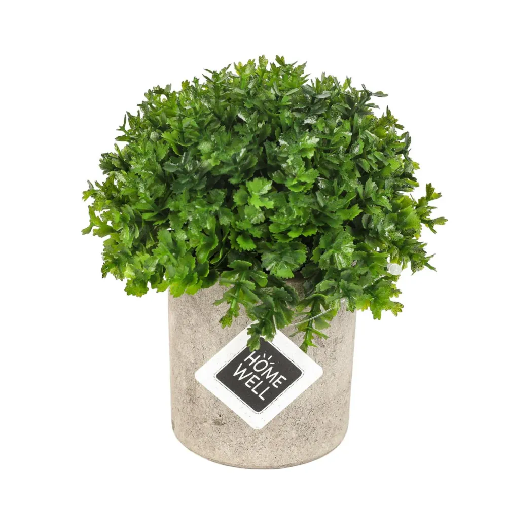 Planta Artificial Boj Japónico HomeWell