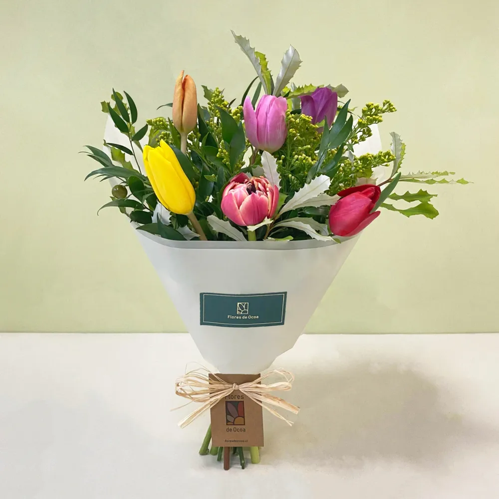 Ramo Pequeño 6 Tulipanes | M7 Flores de ocoa